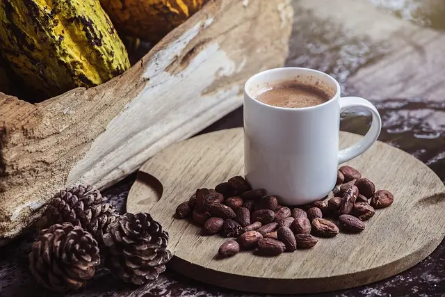 Hot Chocolate, Cocoa Beans, Cacao Pods